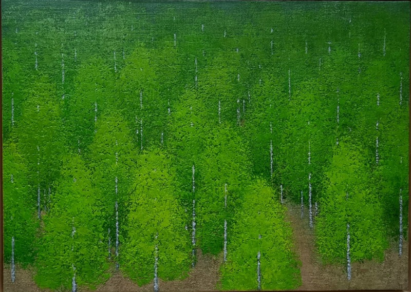 Forest-spirit(30P) 90.9x65.1 oil on canvas 2024_600만원.jpg